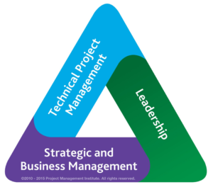 Triangle des talents PMI