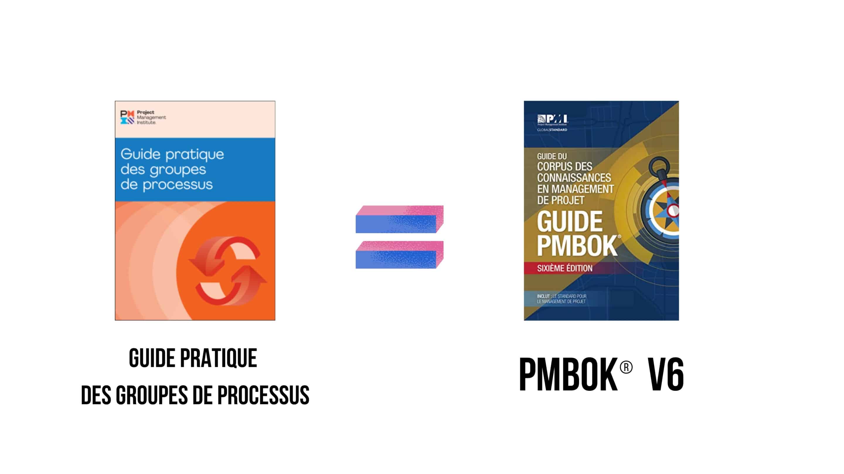 Guide pratique des groupes de processus = PMBOK 6